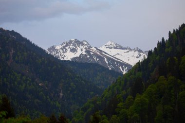 Ayder Platosu ve Ormanları, Kackar Dağı Zirvesi