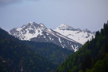 Ayder Platosu ve Ormanları, Kackar Dağı Zirvesi