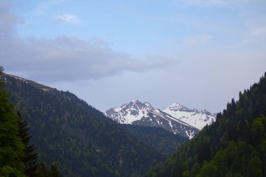 Ayder Platosu ve Ormanları, Kackar Dağı Zirvesi