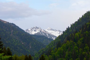Ayder Platosu ve Ormanları, Kackar Dağı Zirvesi