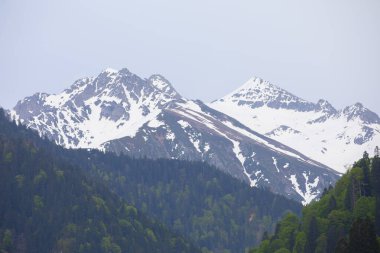 Ayder Platosu ve Ormanları, Kackar Dağı Zirvesi