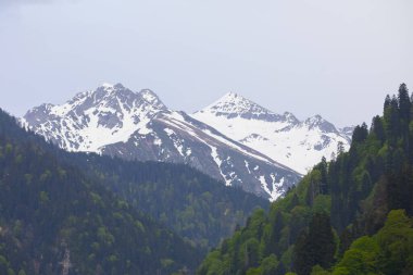 Ayder Platosu ve Ormanları, Kackar Dağı Zirvesi