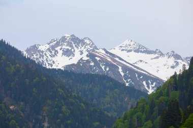 Ayder Platosu ve Ormanları, Kackar Dağı Zirvesi