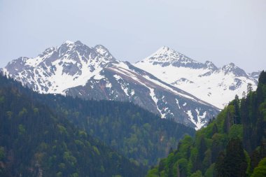 Ayder Platosu ve Ormanları, Kackar Dağı Zirvesi