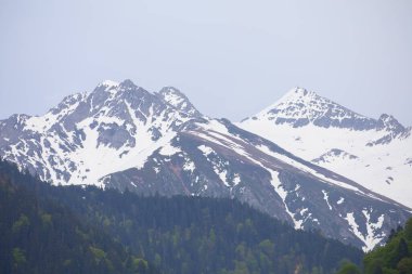 Ayder Platosu ve Ormanları, Kackar Dağı Zirvesi