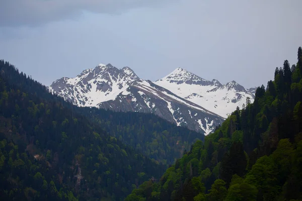 Ayder Platosu ve Ormanları, Kackar Dağı Zirvesi