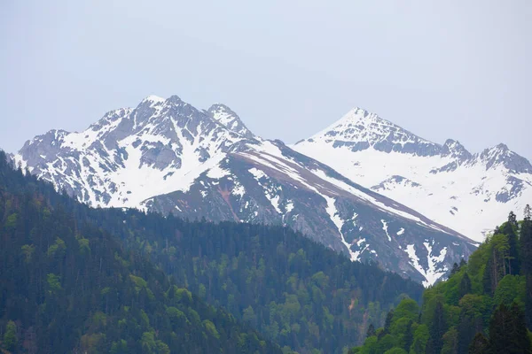 Ayder Platosu ve Ormanları, Kackar Dağı Zirvesi