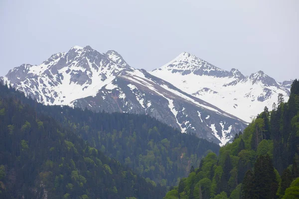 Ayder Platosu ve Ormanları, Kackar Dağı Zirvesi