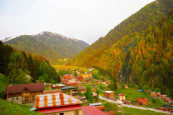 Ayder Platosu ve Ormanları, Kackar Dağı Zirvesi