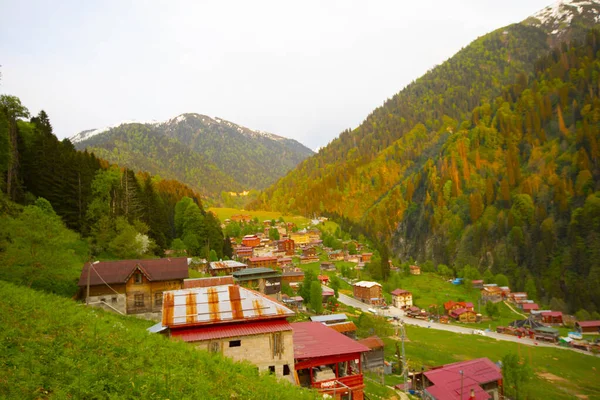 Ayder Platosu ve Ormanları, Kackar Dağı Zirvesi