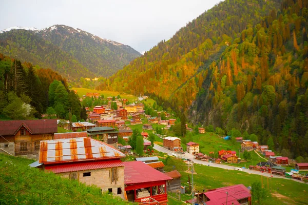 Ayder Platosu ve Ormanları, Kackar Dağı Zirvesi