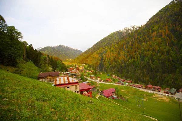 Ayder Platosu ve Ormanları, Kackar Dağı Zirvesi