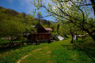 Martin Brod 'un Şelaleleri Una Ulusal Parkı, Bosna-Hersek' te