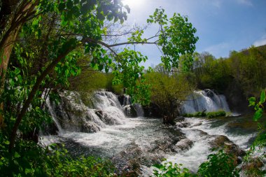 Martin Brod 'un Şelaleleri Una Ulusal Parkı, Bosna-Hersek' te