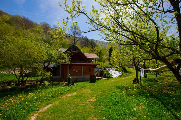 Martin Brod Şelaleleri Una Ulusal Parkı Bosna Hersek — Stok fotoğraf