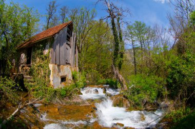 Martin Brod 'un Şelaleleri Una Ulusal Parkı, Bosna-Hersek' te