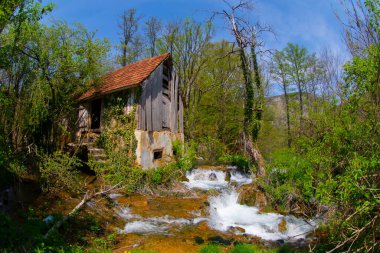 Martin Brod 'un Şelaleleri Una Ulusal Parkı, Bosna-Hersek' te
