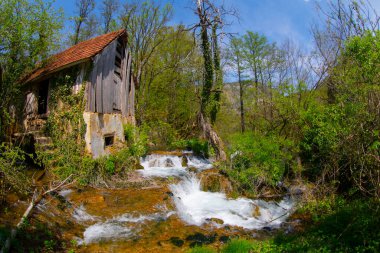 Martin Brod 'un Şelaleleri Una Ulusal Parkı, Bosna-Hersek' te