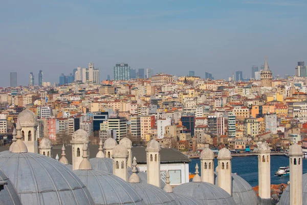Galata Kulesi ve İstanbul Görüşü / Türkiye