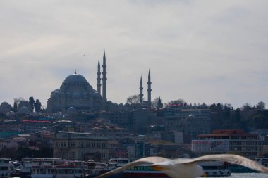 Galata Kulesi ve İstanbul Görüşü / Türkiye