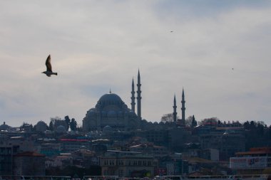 Galata Kulesi ve İstanbul Görüşü / Türkiye