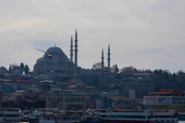 Galata Kulesi ve İstanbul Görüşü / Türkiye