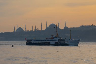 İstanbul Büyükşehir Manzarası, Bakire Kulesi, Ayasofya, Sultanahmet Camii.