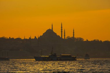 İstanbul Büyükşehir Manzarası, Bakire Kulesi, Ayasofya, Sultanahmet Camii.