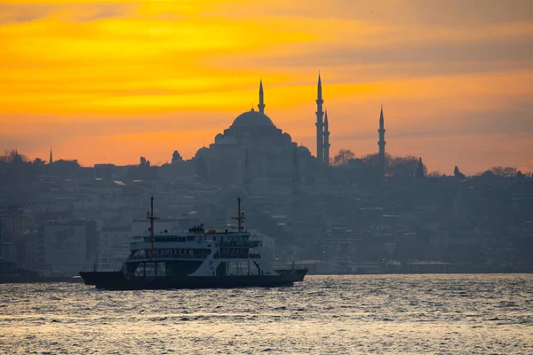 Skyline Métropole Istanbul Mosquée Suleymaniye — Photo