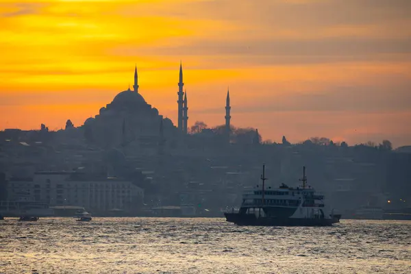 Skyline Istanbul Metropolitana Moschea Suleymaniye — Foto Stock