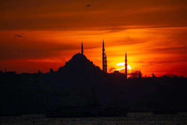 Camiler Feribotlar Deniz Köprü Bakire Kulesi Stanbul Güzel Manzarası Gün — Stok fotoğraf