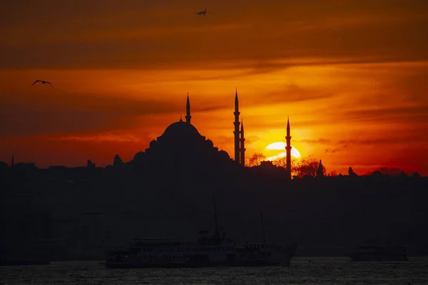 Moscheen Fähren Meer Brücke Mädchenturm Die Schönsten Aussichten Auf Istanbul — Stockfoto