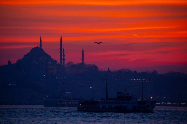 Moscheen Fähren Meer Brücke Mädchenturm Die Schönsten Aussichten Auf Istanbul — Stockfoto