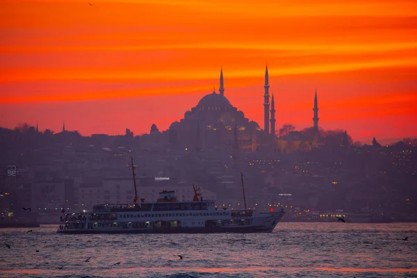 Camiler Feribotlar Deniz Köprü Bakire Kulesi Stanbul Güzel Manzarası Gün — Stok fotoğraf