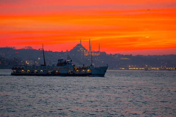 Mosquées Ferries Mer Pont Tour Jeune Fille Les Belles Vues — Photo