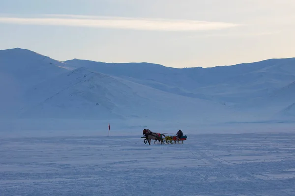 Cavalo Conduzido Trenó Neve — Fotografia de Stock