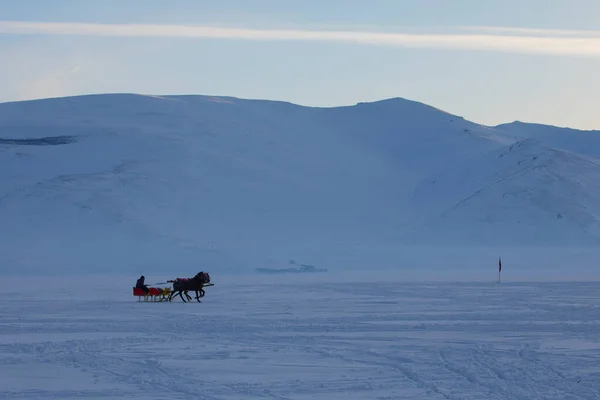 Cavalo Conduzido Trenó Neve — Fotografia de Stock