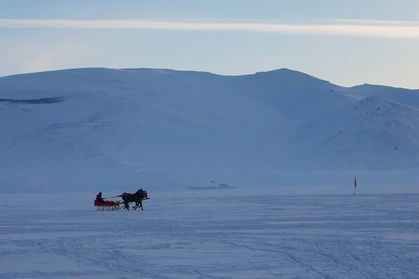 Cavalo Conduzido Trenó Neve — Fotografia de Stock