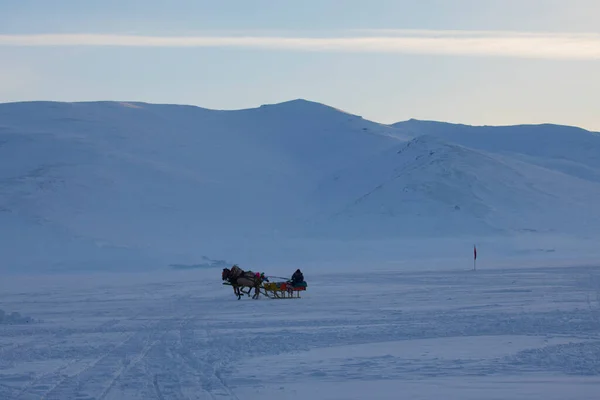 Cavalo Conduzido Trenó Neve — Fotografia de Stock