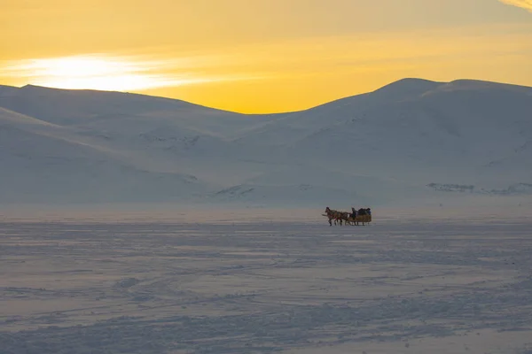 Cavalo Conduzido Trenó Neve — Fotografia de Stock