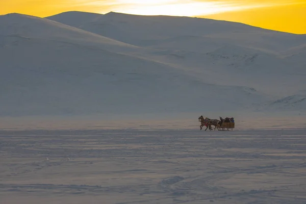 Cavalo Conduzido Trenó Neve — Fotografia de Stock