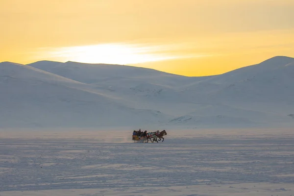 Cavalo Conduzido Trenó Neve — Fotografia de Stock