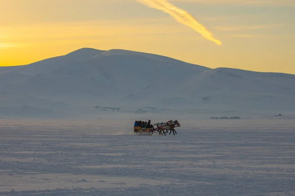 Horse Driven Sleigh Snow — Stock Photo, Image