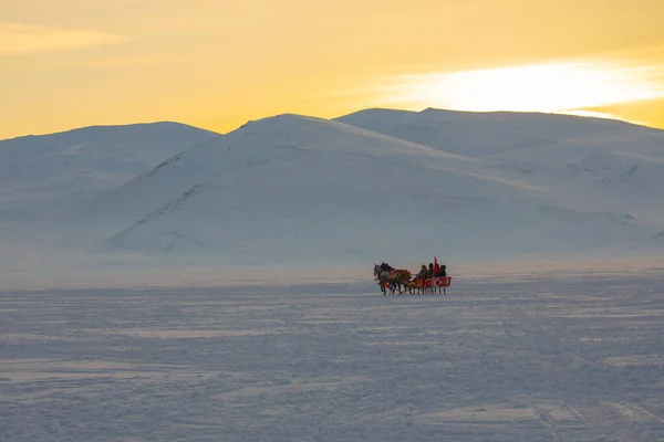 Cavalo Conduzido Trenó Neve — Fotografia de Stock