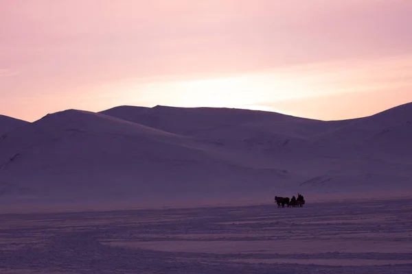 Cavalo Conduzido Trenó Neve — Fotografia de Stock