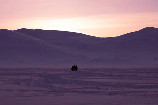 Cavalo Conduzido Trenó Neve — Fotografia de Stock