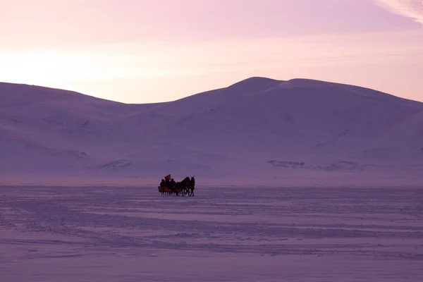 雪の中で馬の運転そり — ストック写真