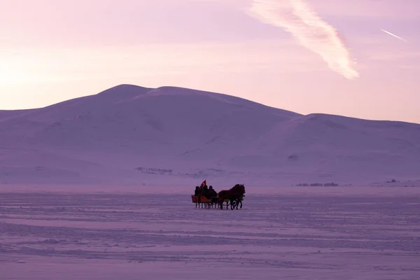 Cavalo Conduzido Trenó Neve — Fotografia de Stock