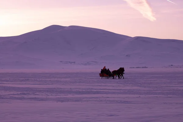 Horse Driven Sleigh Snow — Stock Photo, Image