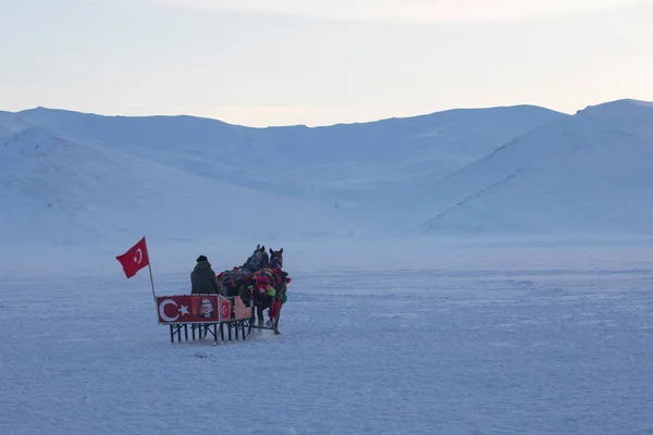 Horse Driven Sleigh Snow — Stock Photo, Image